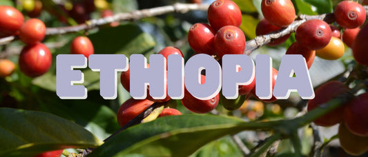 A Coffee Lover's Guide to Ethiopia